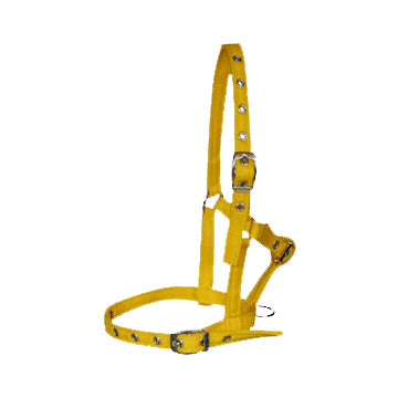 Halter